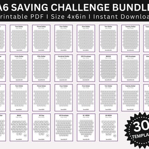 Savings Challenge Printable Binder, Mini Savings challenge, Money Saving Challenge Printable, |Fits A6 Sized| Budget Binder & Saving Tracker
