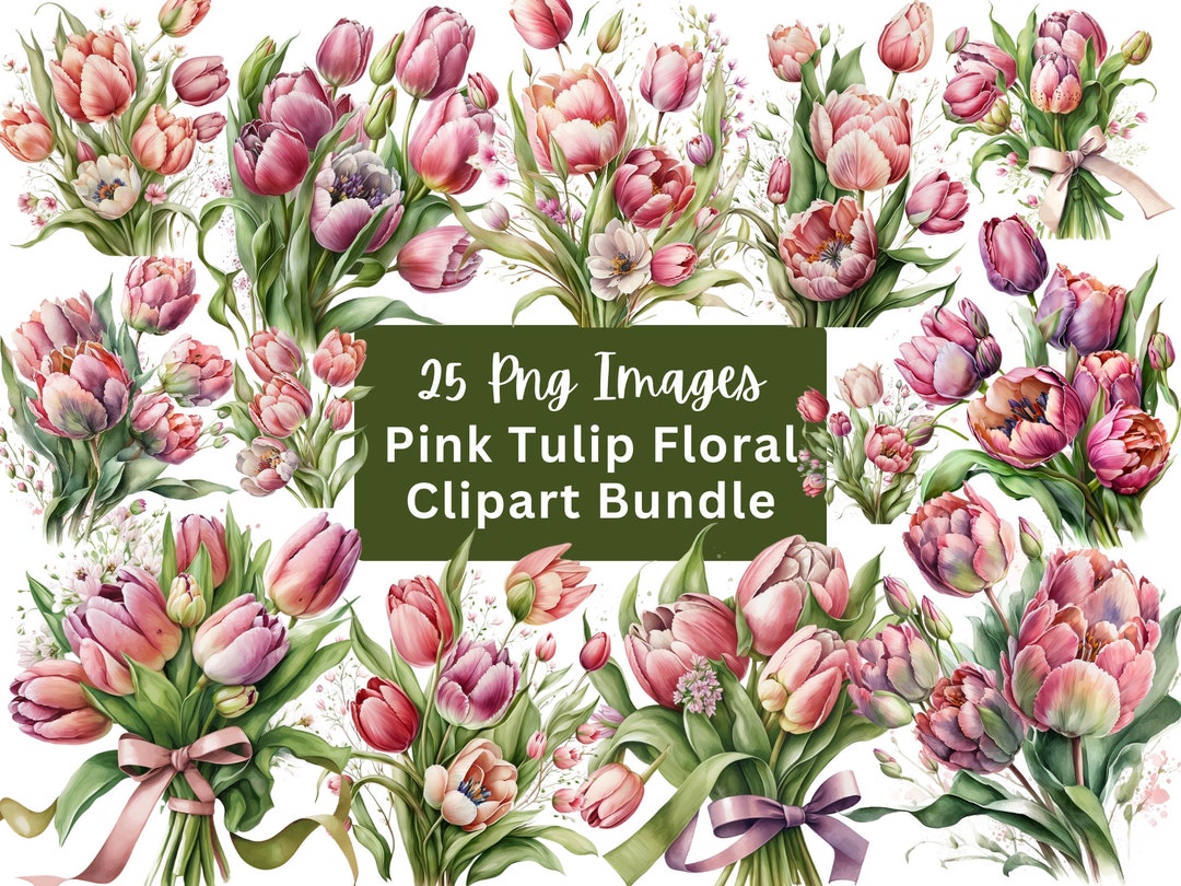Watercolor Pink Tulip Clipart Bundle 25 Png Images for Scrapbooking ...