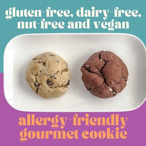 May include: Two gourmet cookies on a white plate. The cookies are gluten-free, dairy-free, nut-free, and vegan. One cookie is chocolate chip and the other is chocolate.