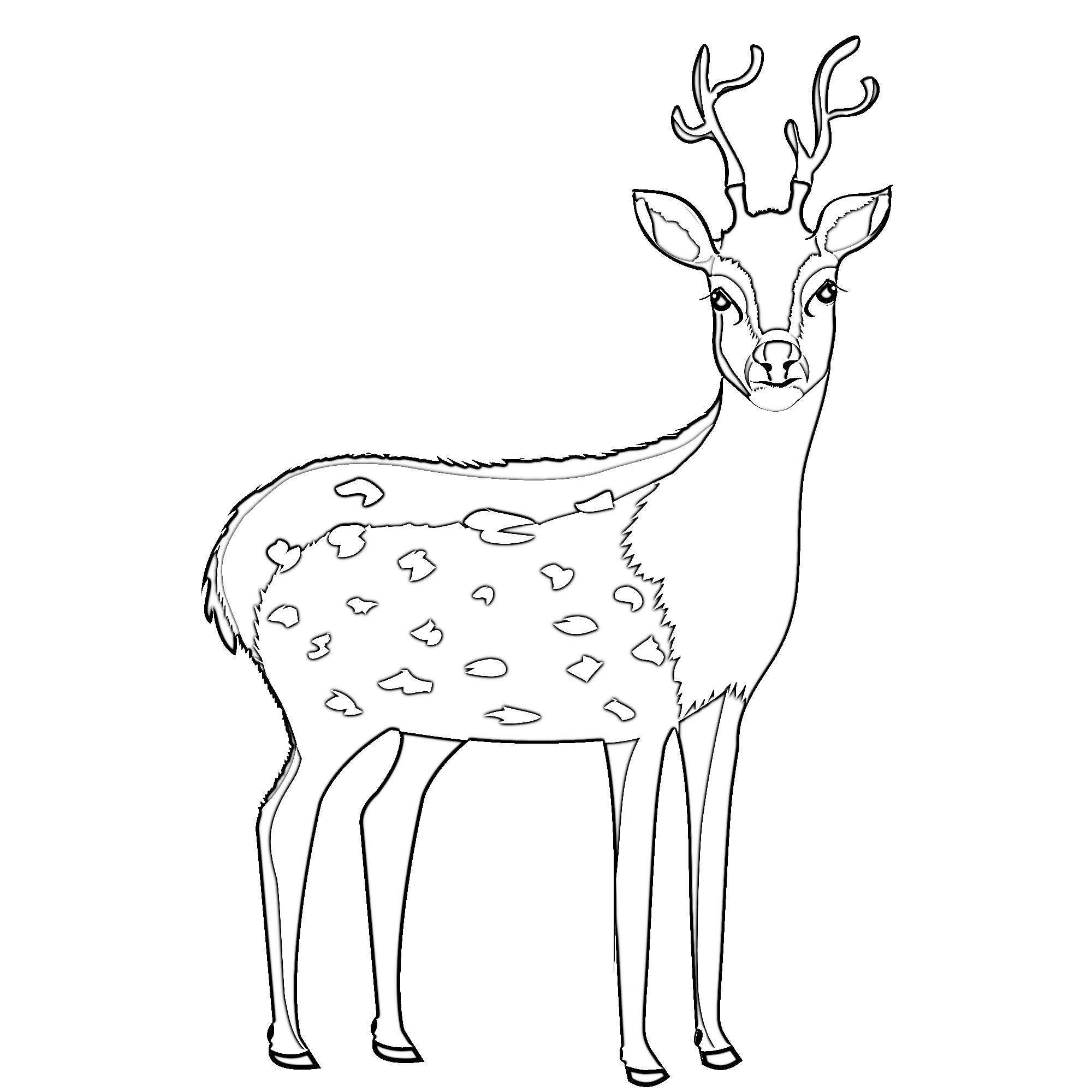 25 Coloring Animal Pages - Etsy