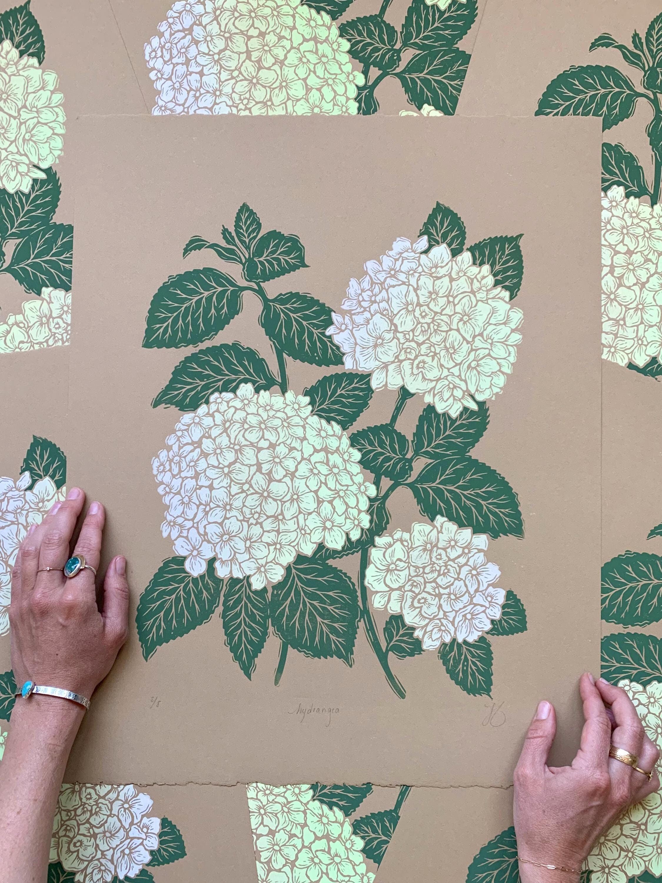 Lemon Lime Hydrangea - Etsy