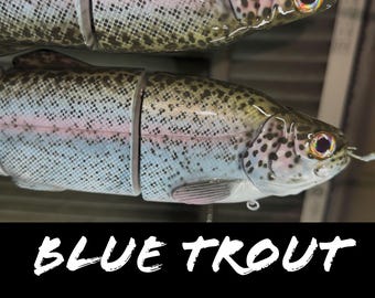 Immortal Trout “Blue Trout”