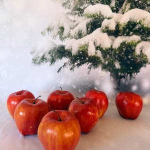 May include: A collection of seven artificial red apples with yellow highlights and dark stems, arranged in a cluster. Each apple features a smooth, glossy finish and a rounded shape, creating a vibrant display of fruit against a snowy backdrop.