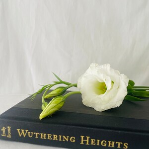 Wuthering Heights Emily Brontë Staging Book Display Stacking Book Home ...