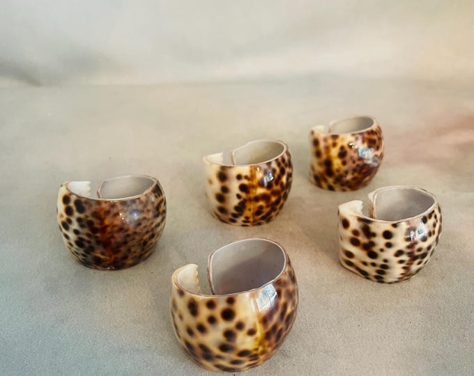 Tiger Cowrie Shell Napkin Rings, Coastal Beach Decor, Set of 5 - Etsy