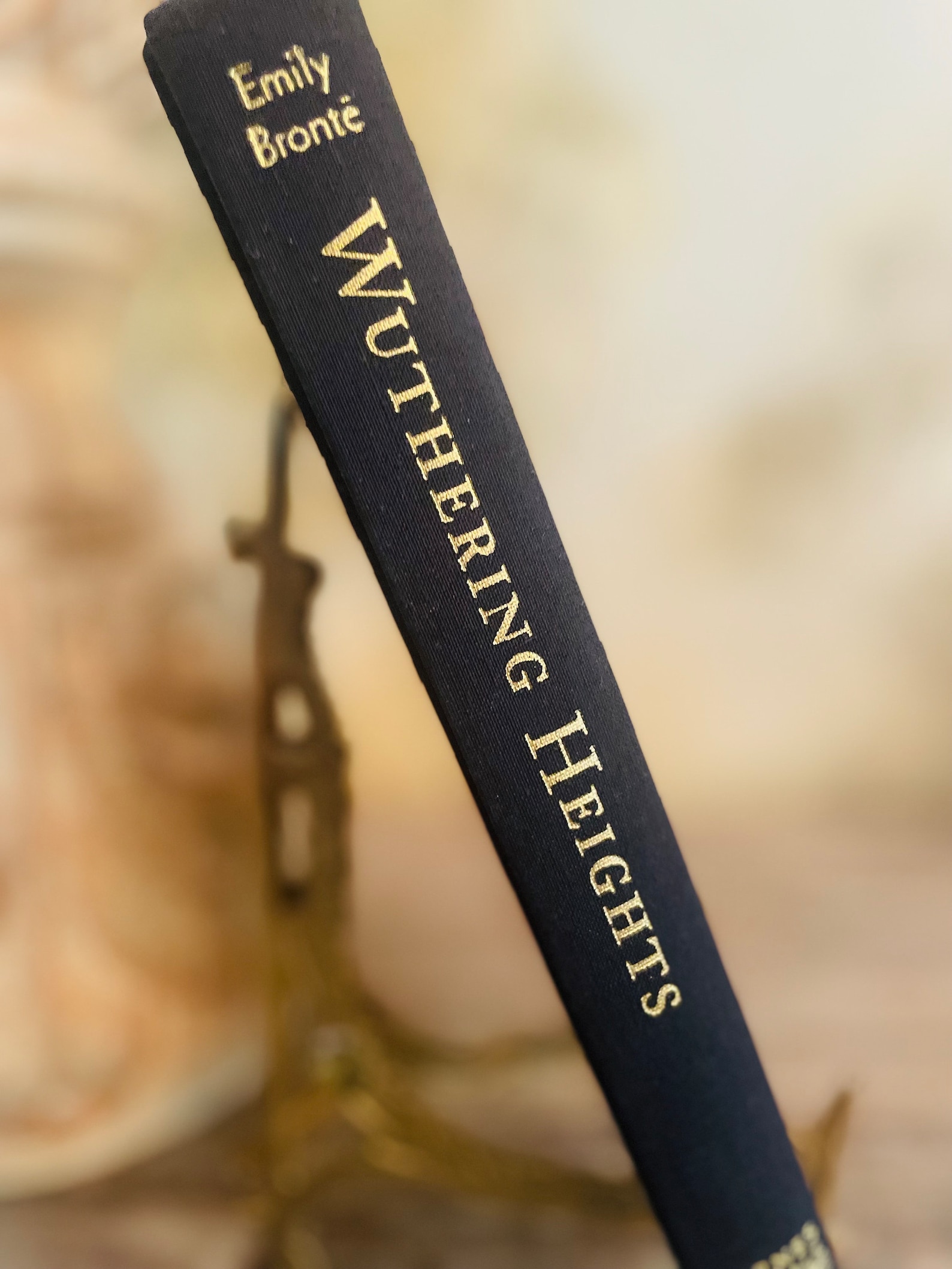 Wuthering Heights Emily Brontë Staging Book Display Stacking Book Home ...