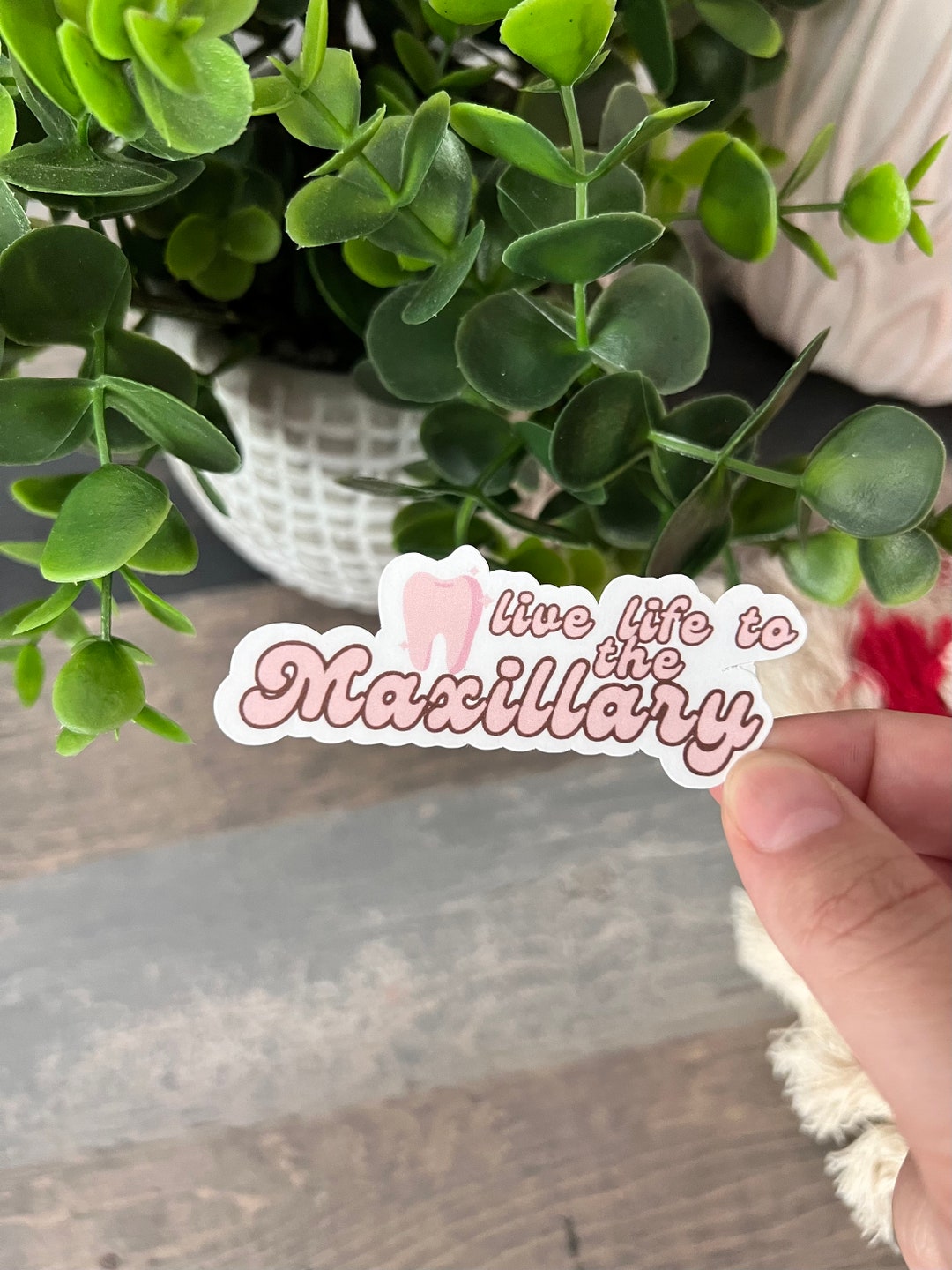 Dental Stickers,dental Hygiene Stickers,tooth Stickers,dental Hygiene