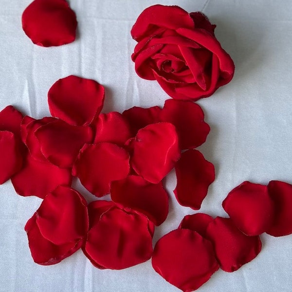 Real Rose Petal Etsy