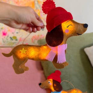 Può includere: Due decorazioni in feltro a forma di bassotto con luci interne. Il più grande indossa un berretto rosso con pon pon e una sciarpa rosa, il più piccolo un berretto rosso e una sciarpa azzurra. Entrambi hanno una stella gialla sul corpo.