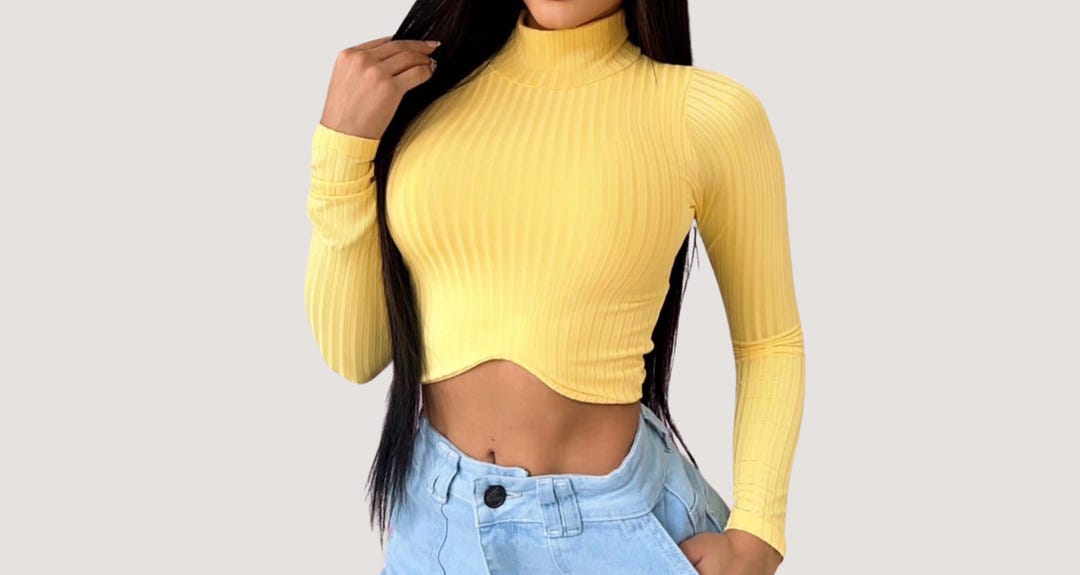 Pleated Turtleneck Long Sleeve Cropped Top