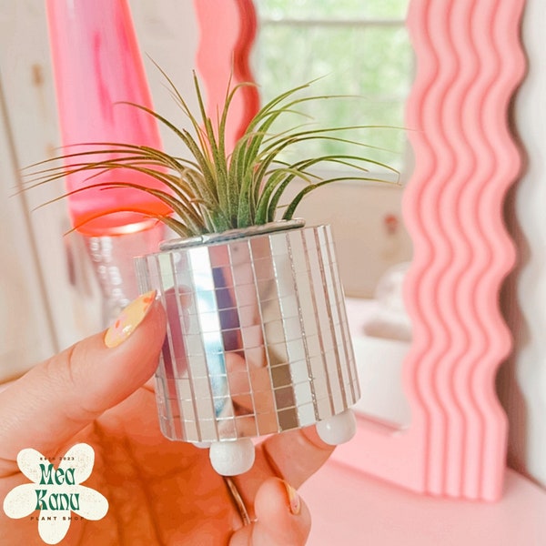 Retro air plant holder, air plant holder, wood plant stand, desk plant pot, air plant, air plant pot, air plant decor, gift for mom, disco