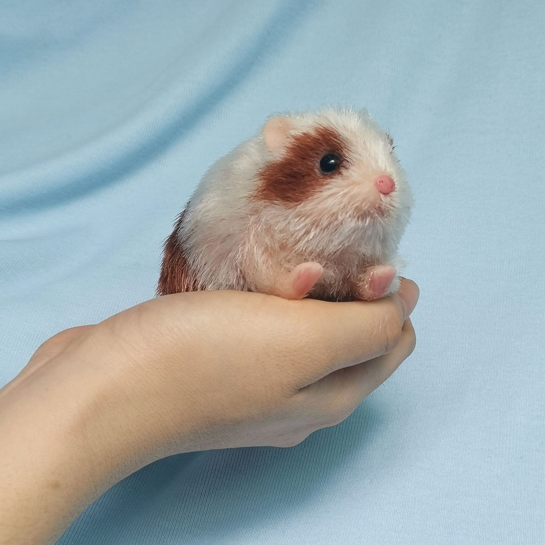 Hamster Winnipeg Cute Animal Reborn Doll Silicone Soft Etsy