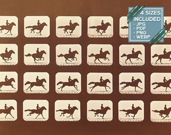 エドワード・マイブリッジの写真、動作研究、騎手と馬、1880 年代