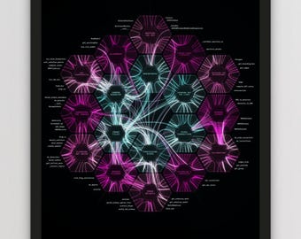 May include: A framed poster featuring a black background with a central hexagonal diagram of the Webb Telescope calibration process. The design uses pink and teal lines connecting hexagonal nodes labelled with technical steps and Python code.