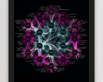 May include: A framed poster featuring a black background with a central hexagonal network diagram in shades of magenta and cyan. The graphic displays interconnected nodes labelled with technical terms and code snippets, titled THE WEBB TELESCOPE, 2022.