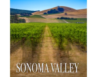 Sonoma Valley Vineyard and Hillside.  Art photo print.  Wall art.  Home decor.  Vertical.  August.  Photography.  Photo Impressionism.