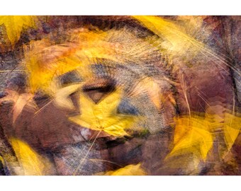Könnte beinhalten: Abstrakter Kunstdruck mit einem wirbelnden Muster aus gelben, braunen und grauen Blättern. Die Blätter sind übereinander gelegt und überlappen sich, wodurch ein Gefühl von Tiefe und Bewegung entsteht.