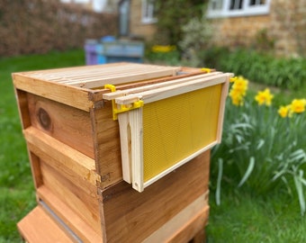 Beehive Frame Holder | To help Beekeepers during inspections | One pair of sturdy plastic holders to hold up to 2 frames