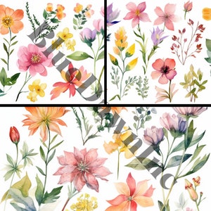 15 pages of Spring watercolor flowers clipart pink flower orange flowers purple flowers clipart commercial use png