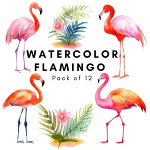 Set of 12 Watercolor Flamingo Cliparts | Watercolor Flamingo | Pink Tropical Flamingo Cliparts | Flamingo Bundle| For Print, PNG download