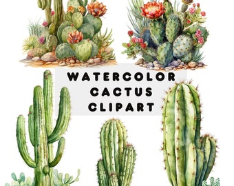 Aquarell Kaktus Clipart - Wüsten Kakteen PNG Download | Kommerzielle Nutzung | PNG