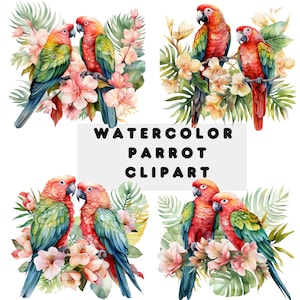 Watercolor Parrot Clipart: Tropical Birds & Flowers (PNG Download)