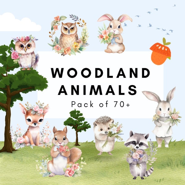 Woodland Animals Clipart| Bambi, Owl, Racoon, Squirrel | Floral and Nature Elements | High-Quality Prints | Commercial Use | PNG Format