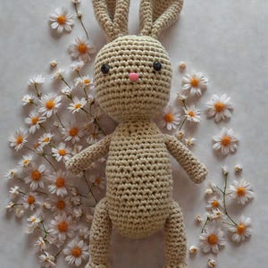 Crochet Bunny Rabbit Plushie Pattern