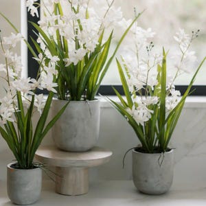 Artificial White Orchid in Vanda Pot