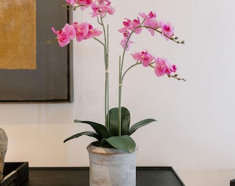 Artificial 2-Stem Phalaenopsis Pink Orchid