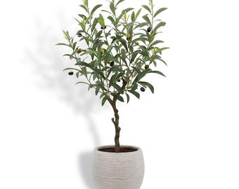 Artificial Olive Topiary Tree with Mediterranean Pot