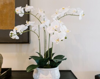 Artificial 4-Stem Phalaenopsis White Orchid