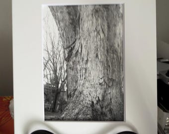 Gefluister des tijds | Originele filmfotografie | 5 x 7 FineArt-afdruk