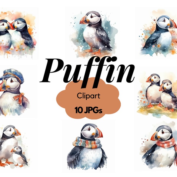 Watercolor Puffin Clipart Bundle, White background Puffins, Watercolor puffin JPGs, Commercial Use