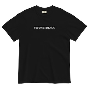 stfuattdlagg Embroidered Comfort Colors, Reading T-Shirt, Smut Reader Gift, Spicy Book & Dark Romance Shirt, Booktok Merch, Bookish Gift