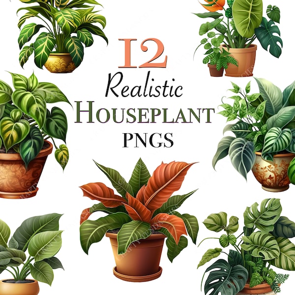 Kamerplant clipart PNG-bestanden voor instant download realistische kamerplant sticker ontwerp commercieel gebruik kamerplant clipart digitale bestanden