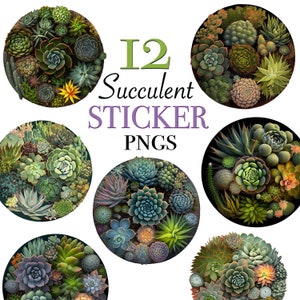 Succulent clipart files for instant download, 12 circular Succulent PNG files for stickers, Succulent plant clipart digital designs