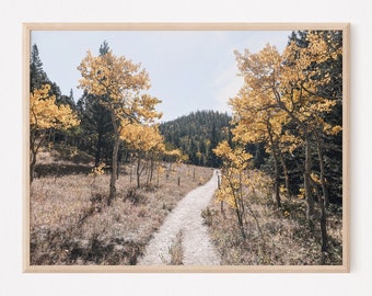 Aspen Tree Photo Colorado Photography Print, Nature Photography for Custom Gallery Wall, Aspen Gift