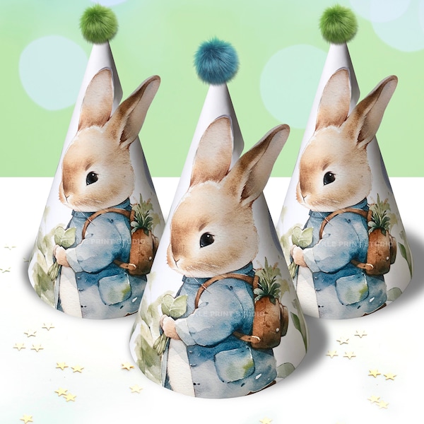 Peter Rabbit Birthday Party Hats Peter Rabbit Theme 1st Birthday Blue Boy Birthday Party Decor Instant Download PRINTABLE PRC