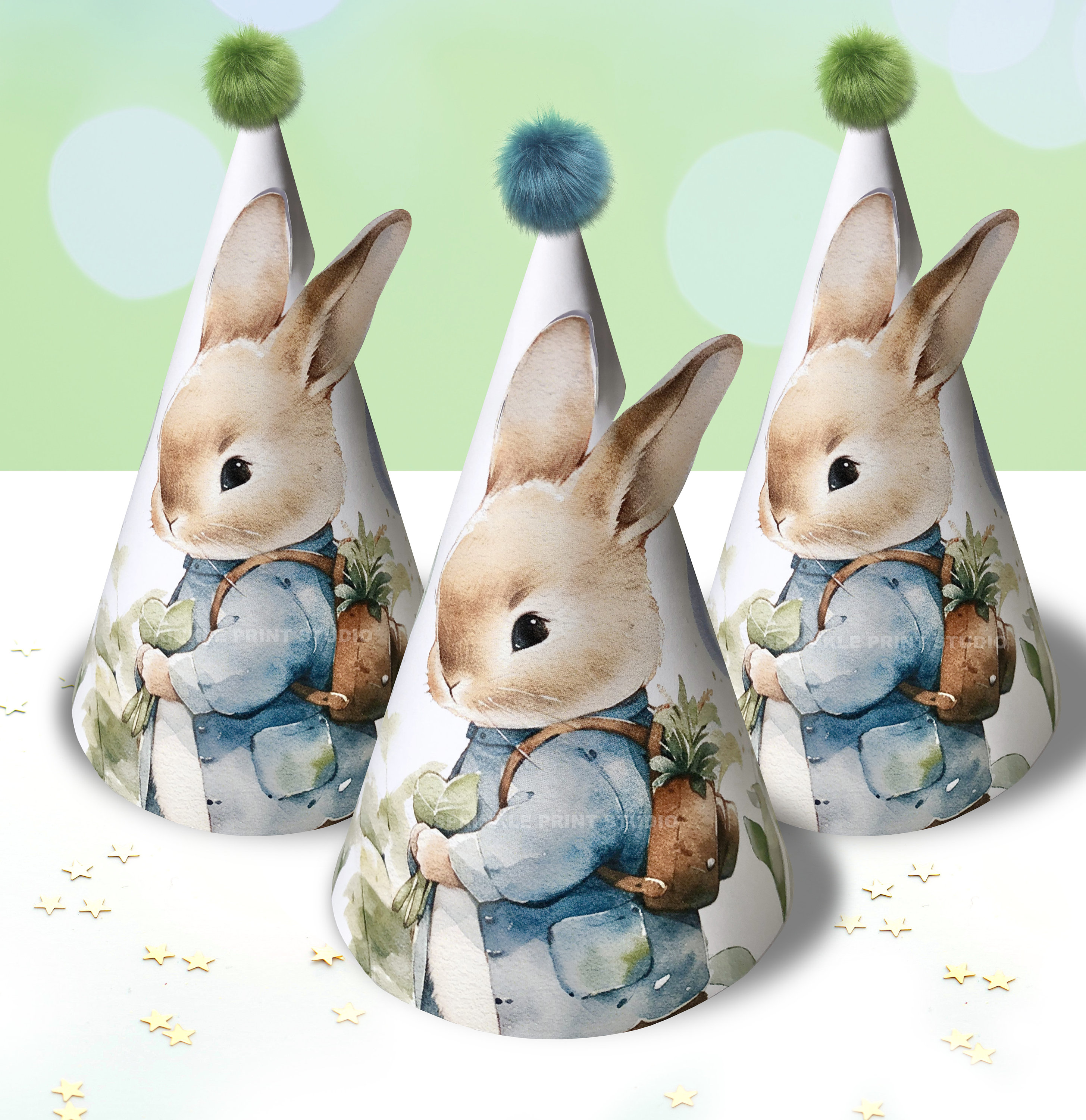 Beatrix Potter Peter Rabbit Party Hats PETER RABBIT Beatrix Potter