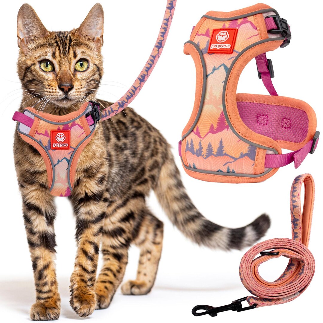 Image showcasing Cat & Kitten Harness and Leash Set Escape Proof for Walking - Etsy