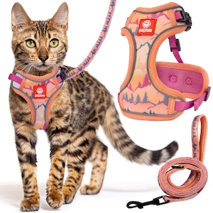 Cat & Kitten Harness and Leash Set Escape Proof for Walking