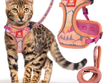 Batman cat harness hotsell