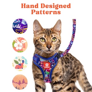 May include: A brown tabby cat wearing a purple harness with a colorful space-themed pattern and a matching leash. The text Hand Designed Patterns appears above, with four circular swatches showing additional patterns including floral and mountain designs.