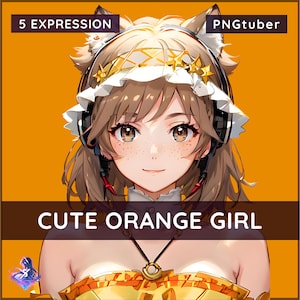 PNGTUBER - Cute Orange girl - Vtuber - 5 Expressions - Premade - Female - Streamer - Orange - 2D Model VTuber Assets-Veadotube-Twitch-Tiktok