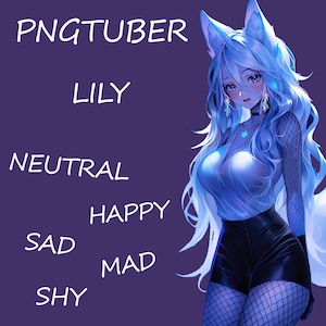 PNGTUBER White fox Vtuber 5 Expressions Premade Female Streamer Cute girl 2D Model VTuber Assets Veadotube Twitch Tiktok