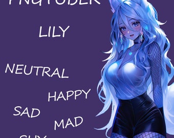PNGTUBER White fox Vtuber 5 Expressions Premade Female Streamer Cute girl 2D Model VTuber Assets Veadotube Twitch Tiktok