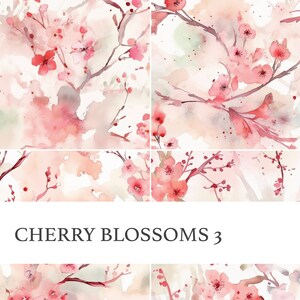 Może przedstawiać: Akwarela przedstawiająca różowe i białe kwiaty wiśni na białym tle. Obraz nosi tytuł "CHERRY BLOSSOMS 3".