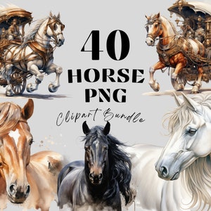 40 Horse Clipart Collection - Nursery Decor, Tumbler Wraps, Kids Birthday, Digital Download, Equestrian Events, PNGs