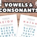 Vowels Poster, Vowel and Consonant Chart, Alphabet for Pre-k ...